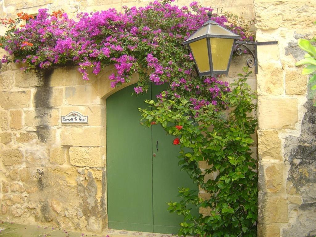 Steves Villas Villa ta Rosi Xagħra Habitación foto